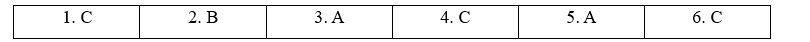 2.9. Self-check - Unit 2. Get well - SBT Tiếng Anh 11 English Discovery 2 1