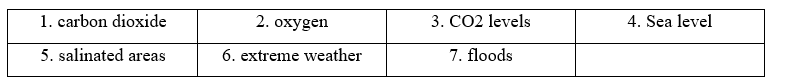 3.3. Listening - Unit 3. Global warming - SBT Tiếng Anh 11 English Discovery 2 1