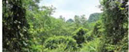 3a. Reading - Unit 3. Global warming & Ecological systems - SBT Tiếng Anh 11 Bright 0 13