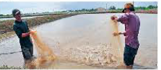 3a. Reading - Unit 3. Global warming & Ecological systems - SBT Tiếng Anh 11 Bright 0 8