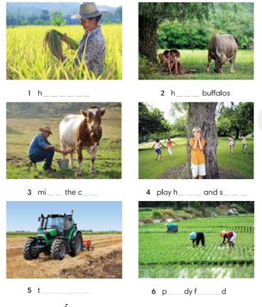 5.1 - Unit 5. Life in the countryside - SBT Tiếng Anh 8 English Discovery 0 1