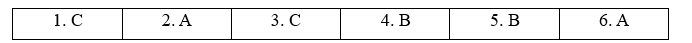 6.6. Use of English - Unit 6. On the go - SBT Tiếng Anh 11 English Discovery 0 1