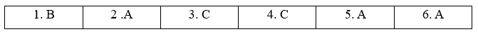 6.6. Use of English - Unit 6. On the go - SBT Tiếng Anh 11 English Discovery 1 1