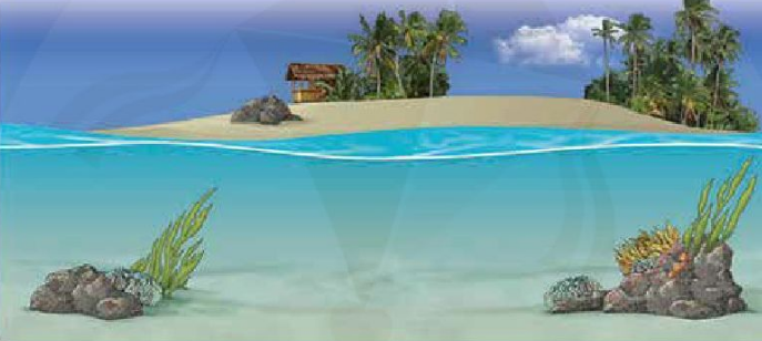 Communication - Unit 3. Where's the Shark? - Tiếng Anh 6 - Explore English 1