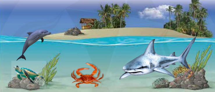 Communication - Unit 3. Where's the Shark? - Tiếng Anh 6 - Explore English 3