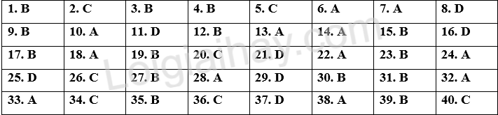 Đề tham khảo thi vào 10 môn Anh Hà Nội năm 2025 - Đề số 17 1 1