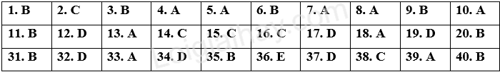 Đề thi học kì 1 Tiếng Anh 11 Friends Global - Đề số 7 1 1