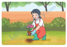Đề thi học kì 1 Tiếng Anh 5 Global Success - Đề số 1 0 9