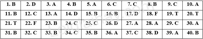Đề thi học kì 1 Tiếng Anh 6 English Discovery - Đề số 10 1 1