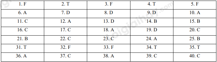 Đề thi học kì 1 Tiếng Anh 6 iLearn Smart World - Đề số 5 1 1