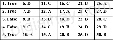 Đề thi học kì 1 Tiếng Anh 9 Global Success - Đề số 5 1 1