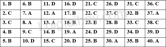 Đề thi học kì 2 Tiếng Anh 11 Friends Global - Đề số 6 1 1