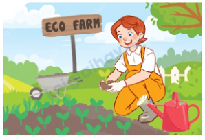 Đề thi học kì 2 Tiếng Anh 5 Global Success - Đề số 1 0 2