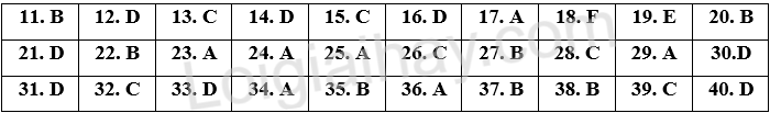 Đề thi vào 10 môn Anh Bình Dương năm 2025 1 1