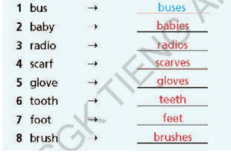 Grammar Bank Welcome back - SBT Tiếng Anh 7 Right on! 6 2