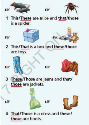 Grammar Bank Welcome back - SBT Tiếng Anh 7 Right on! 8 2