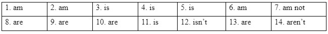 Language Focus: be, Possessive adjectives, Possessive pronouns, Articles - Starter unit - SBT Tiếng Anh 7 Friends Plus 1 2