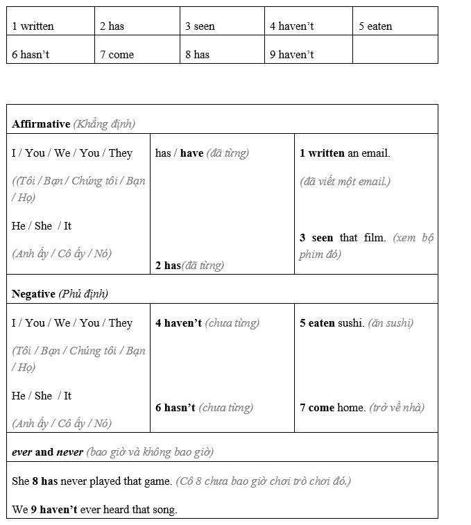 Language Focus: Present Perfect: Affirmative And Negative - Unit 2. Sensations - SBT Tiếng Anh 8 Friends Plus 0 2