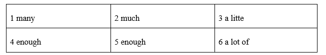 Language Focus: Quantifiers - Unit 4. The material world - SBT Tiếng Anh 8 Friends Plus 0 2