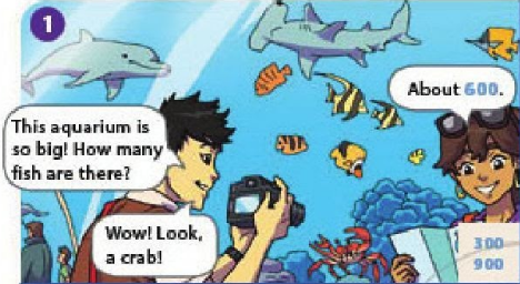 Language Focus - Unit 3. Where's the Shark? - Tiếng Anh 6 - Explore English 2 1