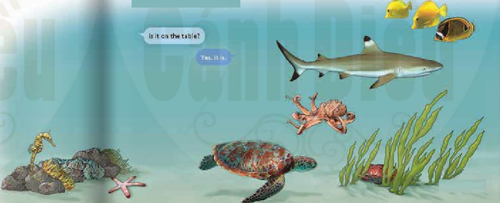 Language Focus - Unit 3. Where's the Shark? - Tiếng Anh 6 - Explore English 3 1