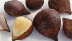 Language focus - Unit 5. I Like Fruit! - Tiếng Anh 6 - Explore English 5 1