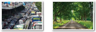 Looking Back – Unit 4. My Neighbourhood - Tiếng Anh 6 – Global Success 3 1