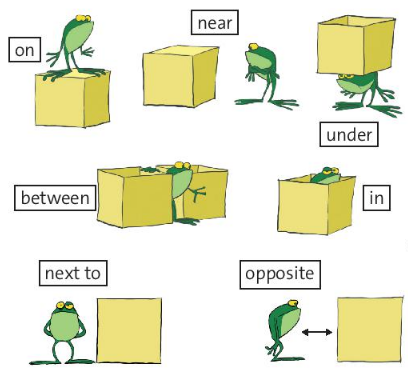 Ngữ pháp - Starter Unit - Tiếng Anh 6 - Friends plus 1