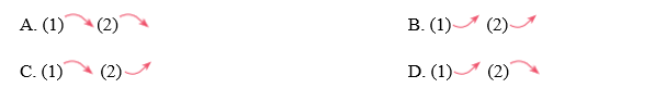 Pronunciation - Test Yourself 4 - SBT Tiếng Anh 11 Global Success 0 1