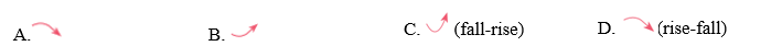 Pronunciation - Test Yourself 4 - SBT Tiếng Anh 11 Global Success 0 4