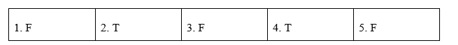 Reading - Unit 1. Leisure time - SBT Tiếng Anh 8 Global Success 3 2