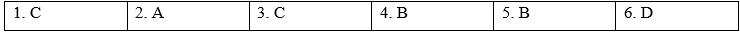 Reading - Unit 10. Planet Earth - SBT Tiếng Anh 9 Global Success 0 1