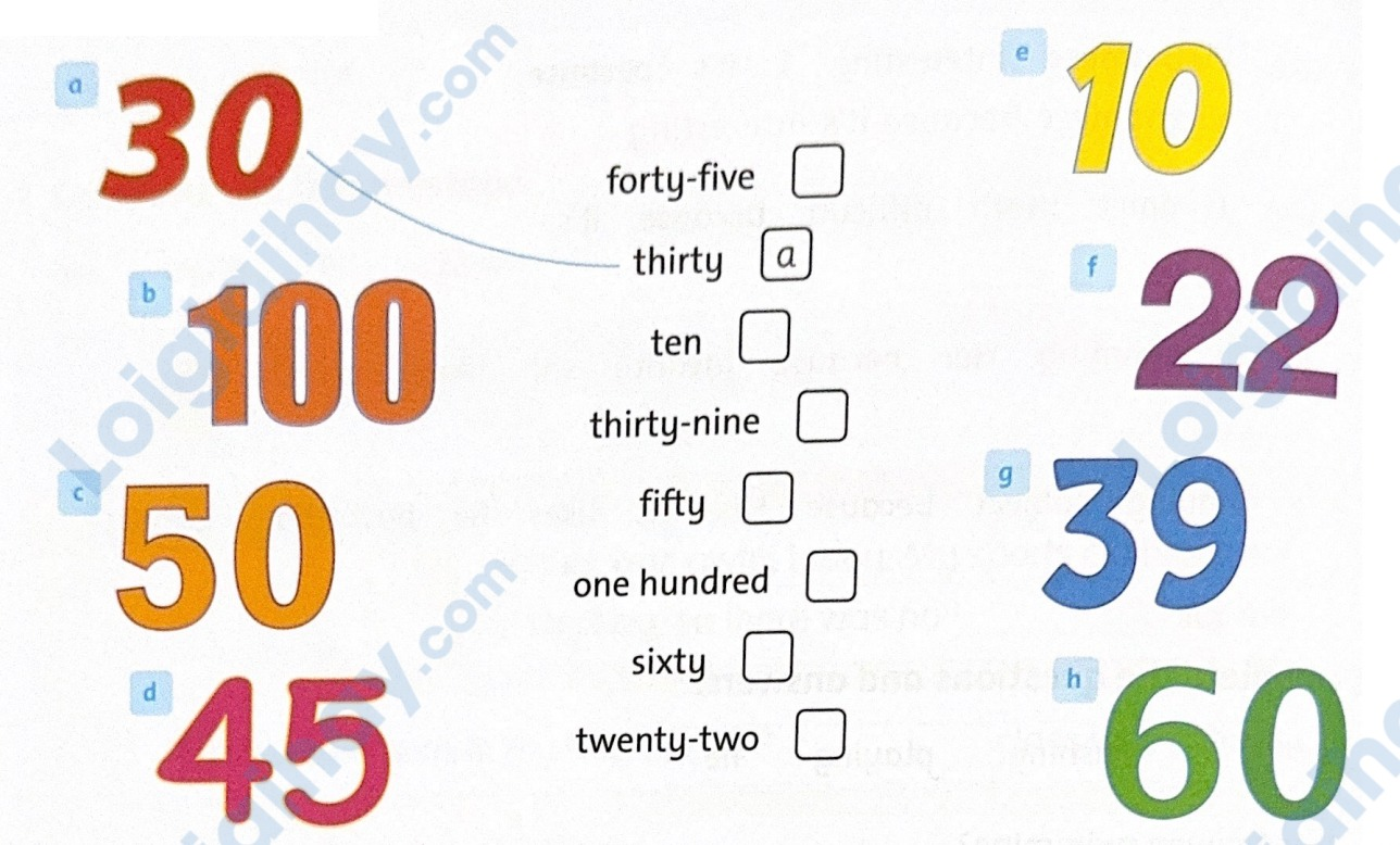 Starter: Back together! - SBT Tiếng Anh 5 - Family and Friends 5 2