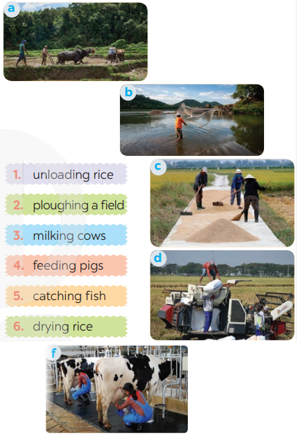 Tiếng Anh 8 Unit 2 Getting Started 3 1
