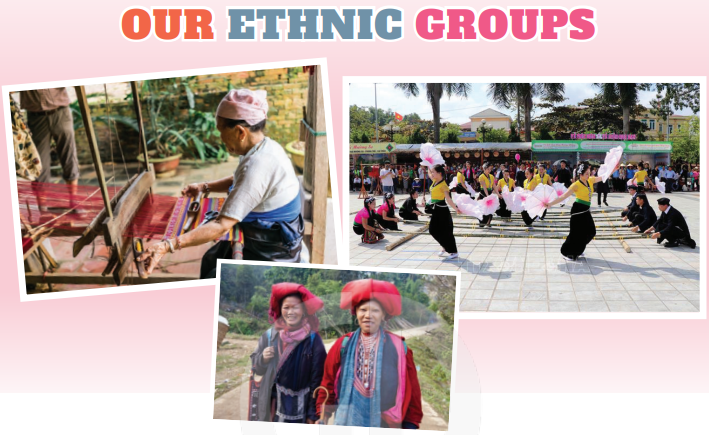 Tiếng Anh 8 Unit 4 Project 0 1