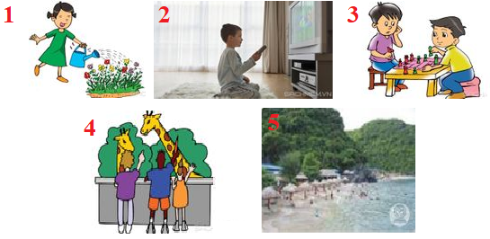 Tổng hợp bài tập Ngữ pháp - Ôn hè Tiếng Anh lớp 4 1 3