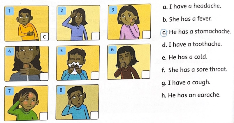Unit 10: What's the matter? - SBT Tiếng Anh 5 - Family and Friends 0 1