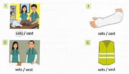 Unit 2: Places to go! - SBT Tiếng Anh 5 - Family and Friends 9 1