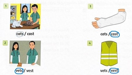 Unit 2: Places to go! - SBT Tiếng Anh 5 - Family and Friends 9 2