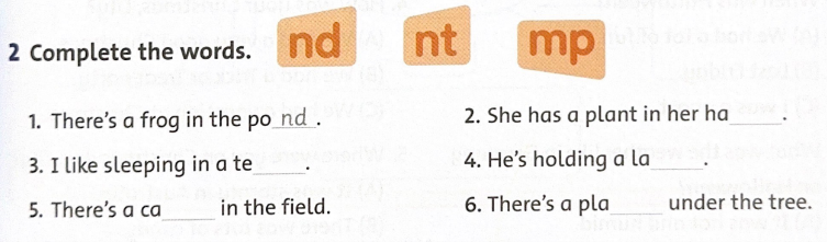Unit 5: They had a long trip - SBT Tiếng Anh 5 - Family and Friends 8 1