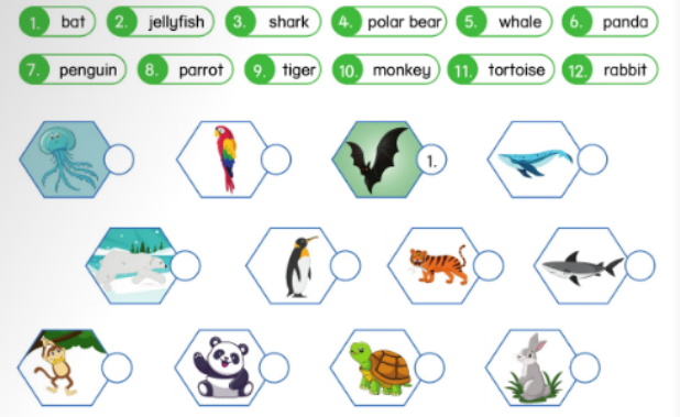 Unit 9. Pets and animals - SBT Tiếng Anh 5 - Phonics Smart 4 1