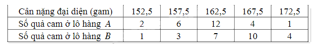 Đề cương ôn tập học kì 1 Toán 11 - Kết nối tri thức 10
