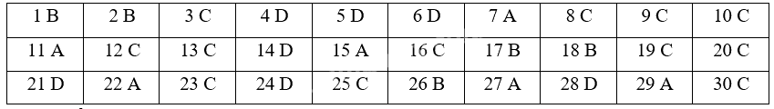 Đề cương ôn tập học kì 1 Toán 4 - Chân trời sáng tạo 8