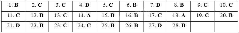 Đề cương ôn tập học kì 1 Toán 5 - Cánh diều 3
