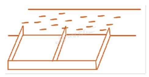 Đề thi học kì 1 Toán 12 Cánh diều - Đề số 1 0 7