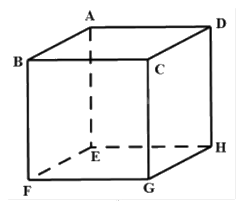 Đề thi học kì 1 Toán 12 Cánh diều - Đề số 2 0 5