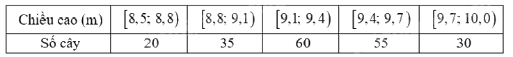 Đề thi học kì 1 Toán 12 Cánh diều - Đề số 2 1 15
