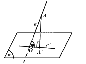Đề thi học kì 2 Toán 11 Cánh diều - Đề số 2 1 4