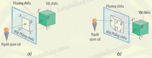 Giải khởi động trang 70 Chuyên đề học tập Toán 11 - Chân trời sáng tạo 1