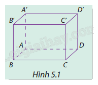 Giải mục 1 trang 41, 42, 43 SGK Toán 12 tập 2 - Cùng khám phá 1